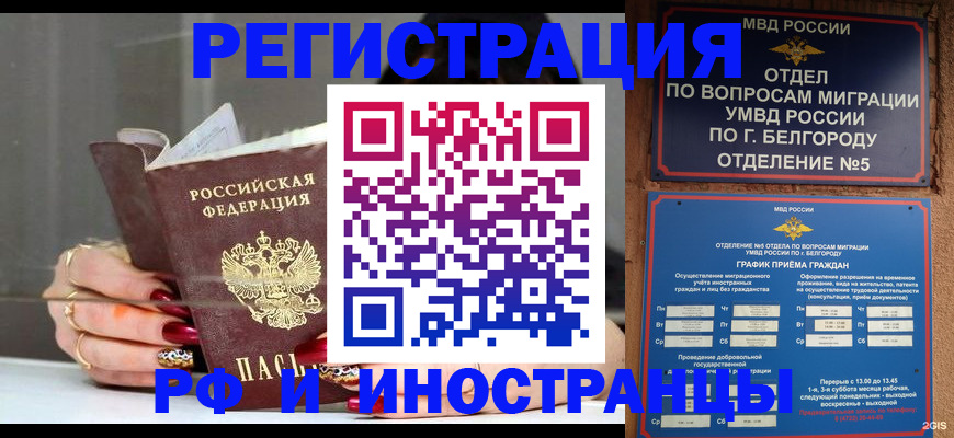 прописка в Няндоме